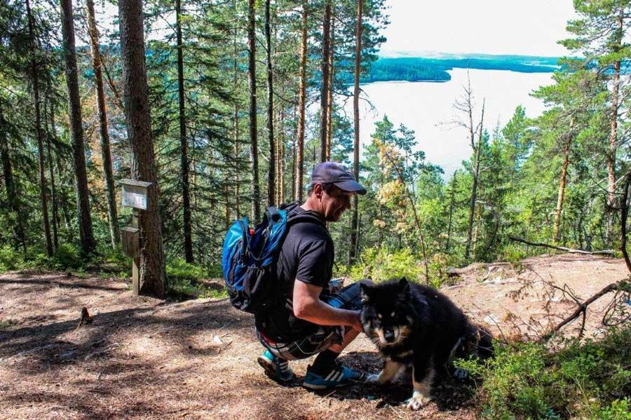 The nice and easy Vaarunvuori mountain nature trail gives you a chance to take a walk through the forest and admire the superb view of Lake Päijänne.